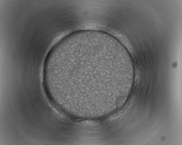 X0000116780578201001141513