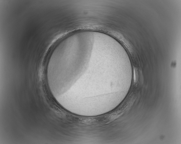 X0000116780579201001141513