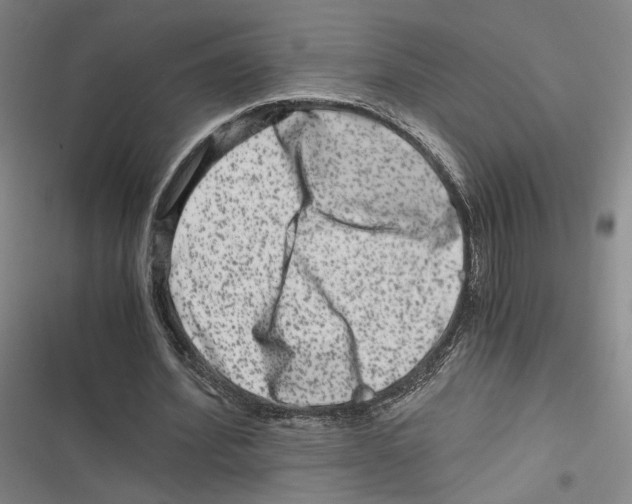 X0000116780580201001141513