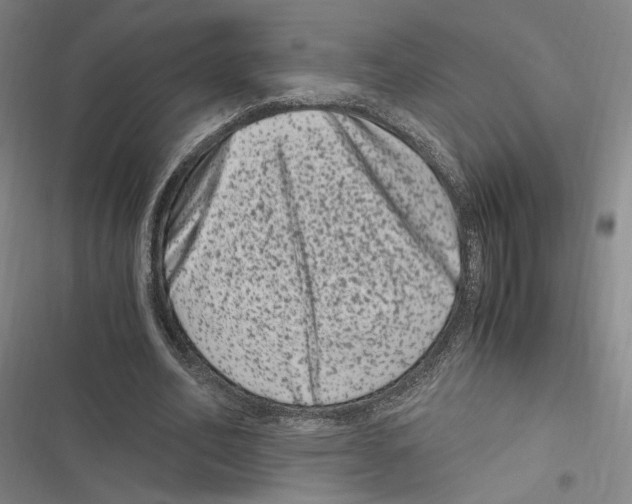 X0000116780582201001141513