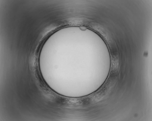 X0000116780583201001141513