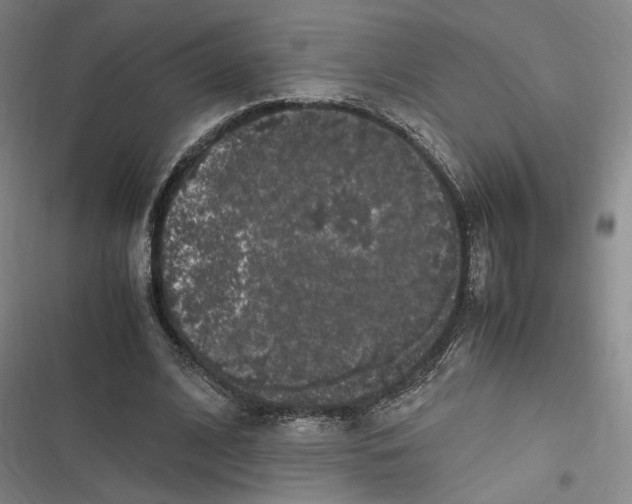 X0000116780584201001141513