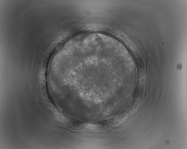 X0000116780585201001141513