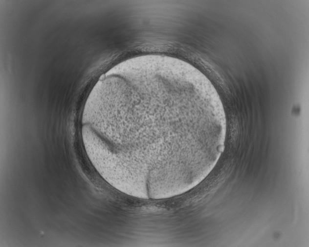 X0000116780586201001141513