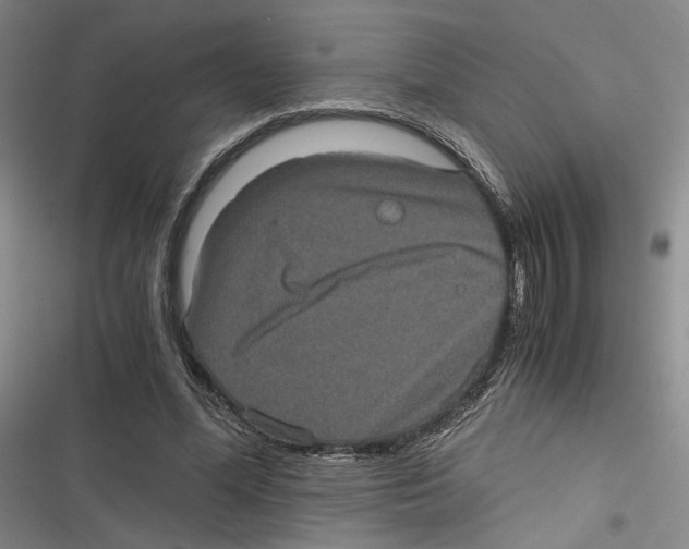 X0000116780588201001141513