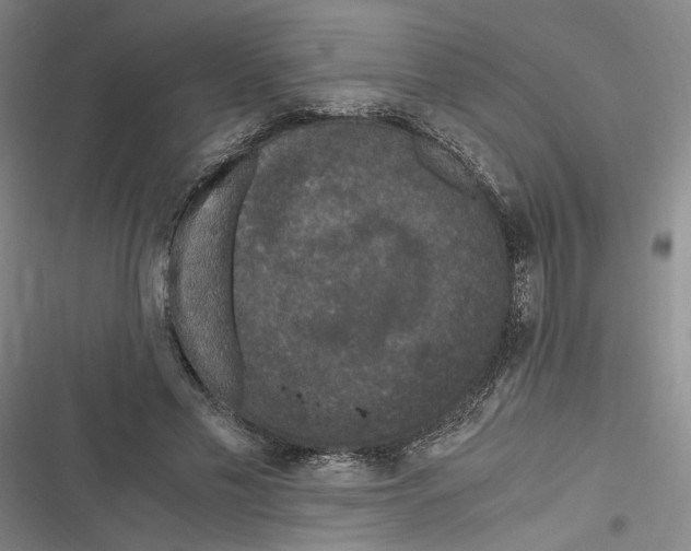 X0000116780589201001141513