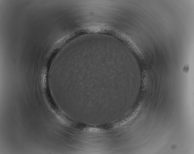 X0000116780590201001141513