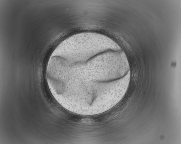 X0000116780591201001141513