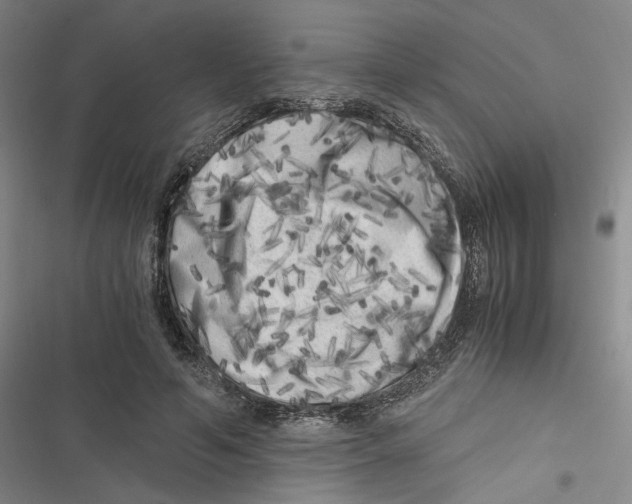 X0000116780594201001141513