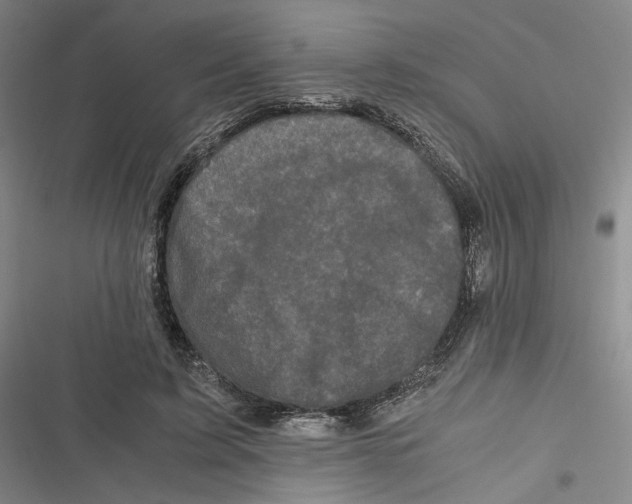 X0000116780595201001141513