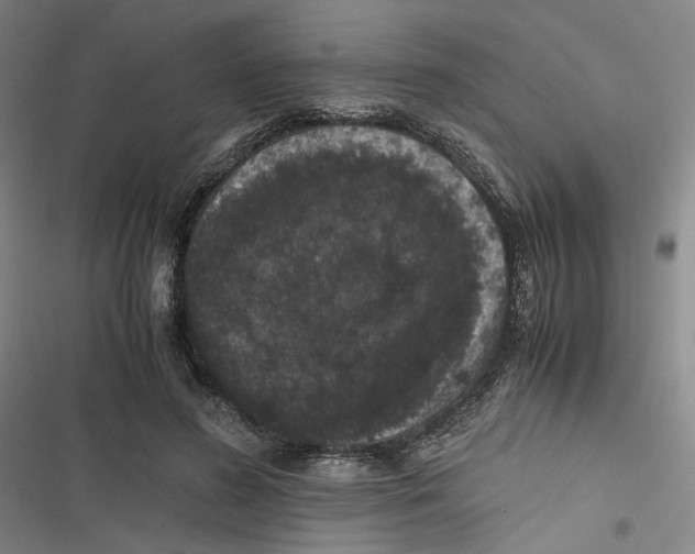 X0000116780596201001141513