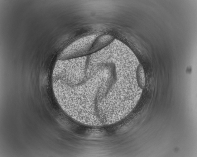 X0000116780597201001141513