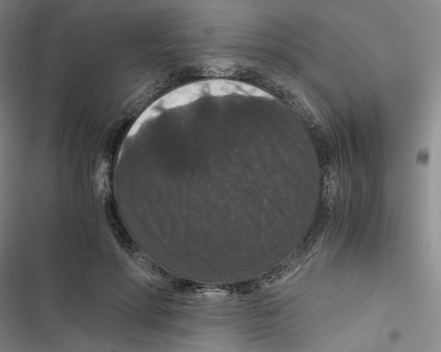 X0000116780598201001141513