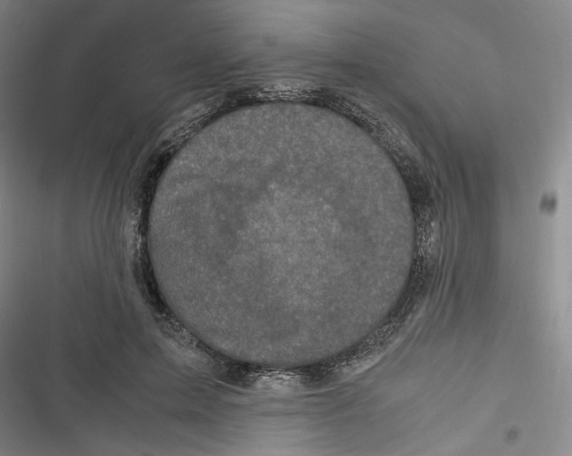 X0000116780599201001141513