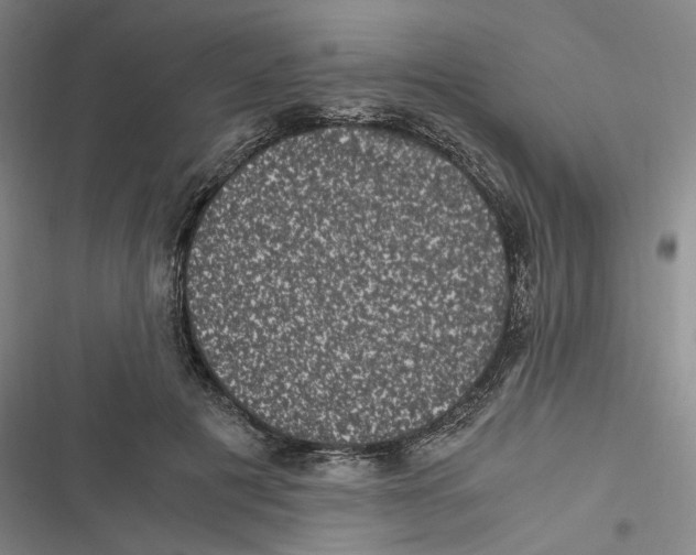 X0000116780601201001141513