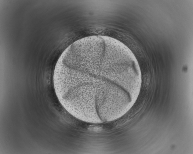 X0000116780602201001141513