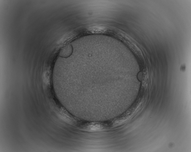 X0000116780604201001141513