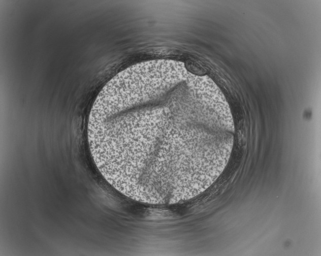 X0000116780605201001141513