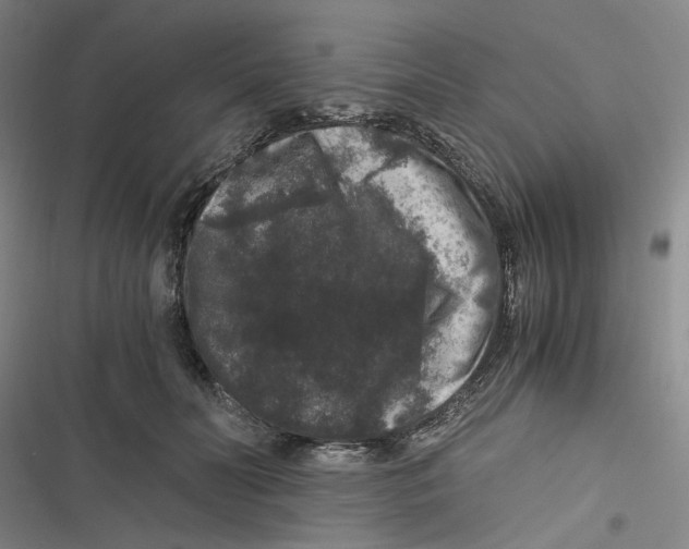 X0000116780606201001141513