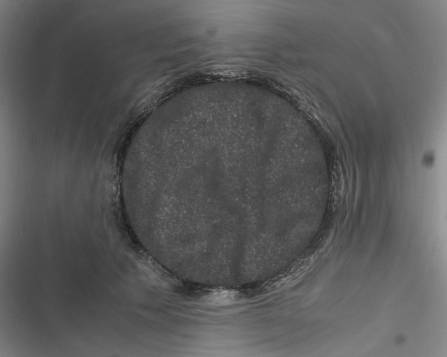 X0000116780609201001141513