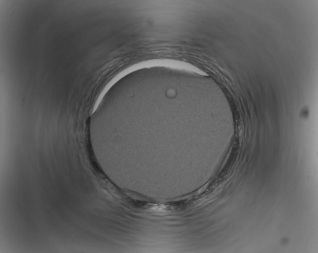 X0000116780611201001141513