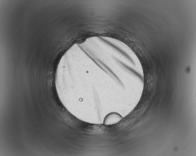 X0000116780612201001141513