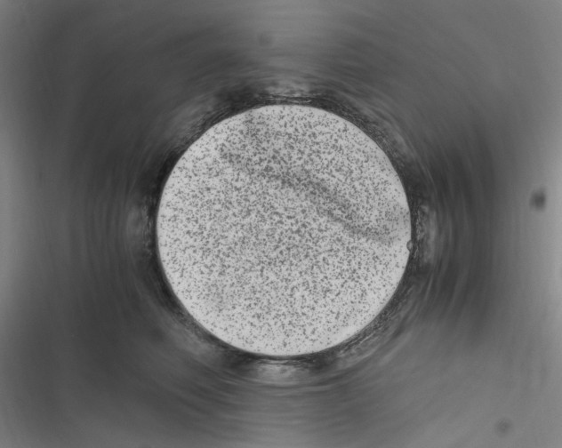 X0000116780614201001141513