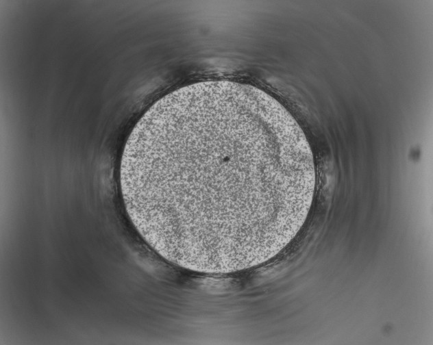 X0000116780615201001141513