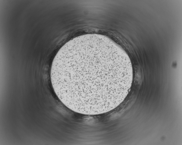 X0000116780616201001141513