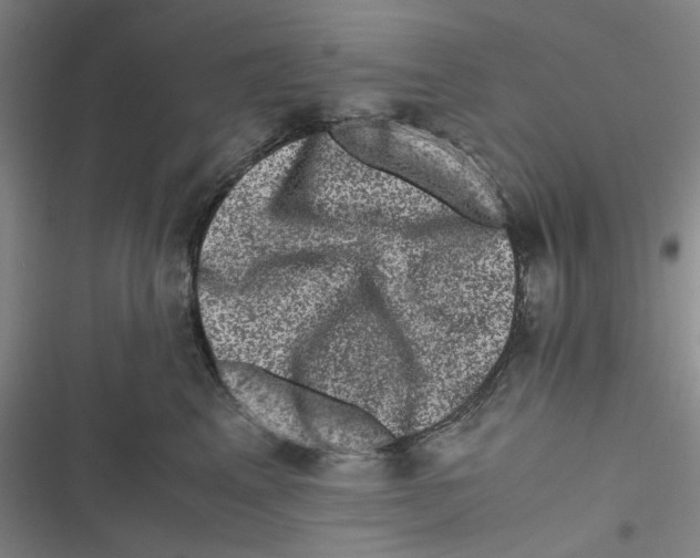 X0000116780617201001141513