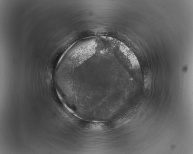 X0000116780618201001141513