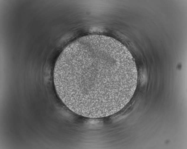 X0000116780619201001141513