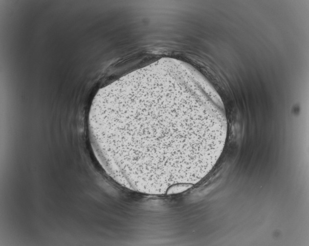 X0000116780620201001141513