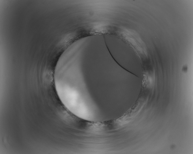 X0000116780621201001141513