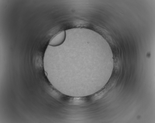 X0000116780622201001141513