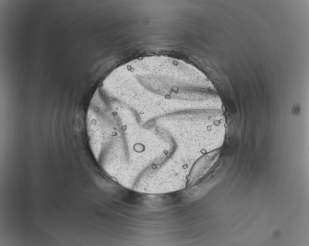 X0000116780623201001141513