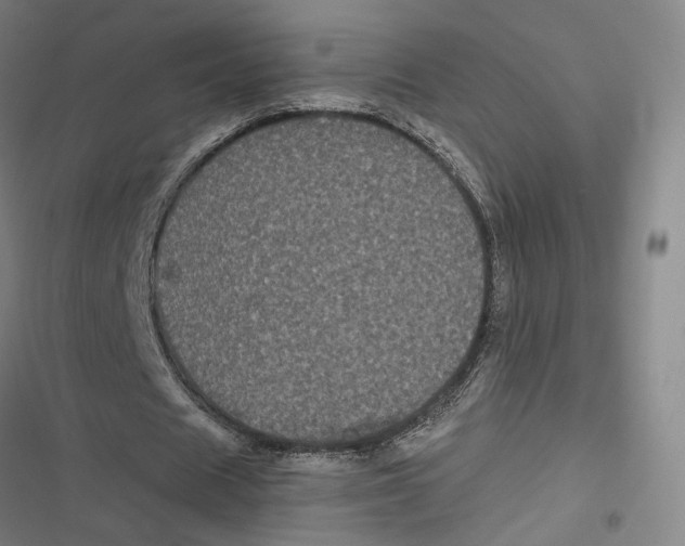 X0000116780625201001141512