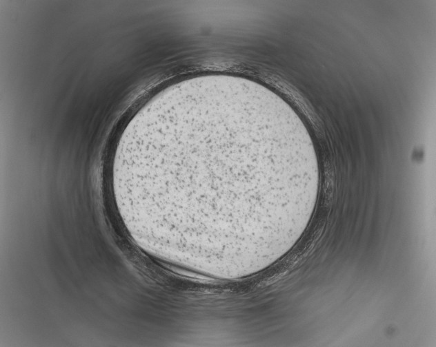 X0000116780626201001141512