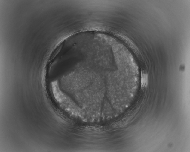 X0000116780627201001141512