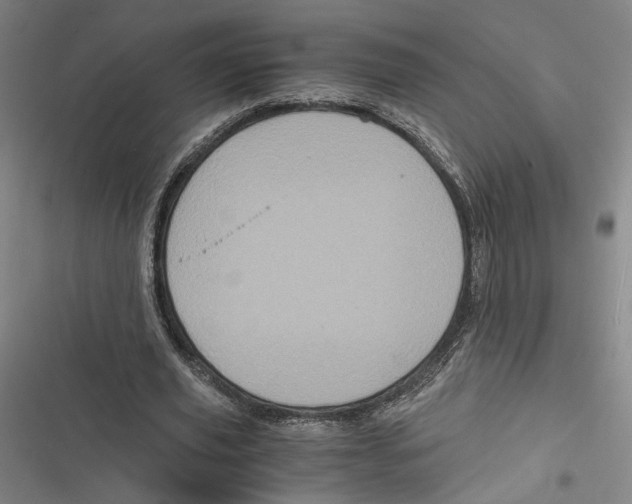 X0000116780629201001141512