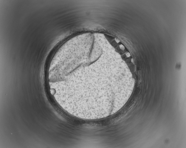 X0000116780630201001141512