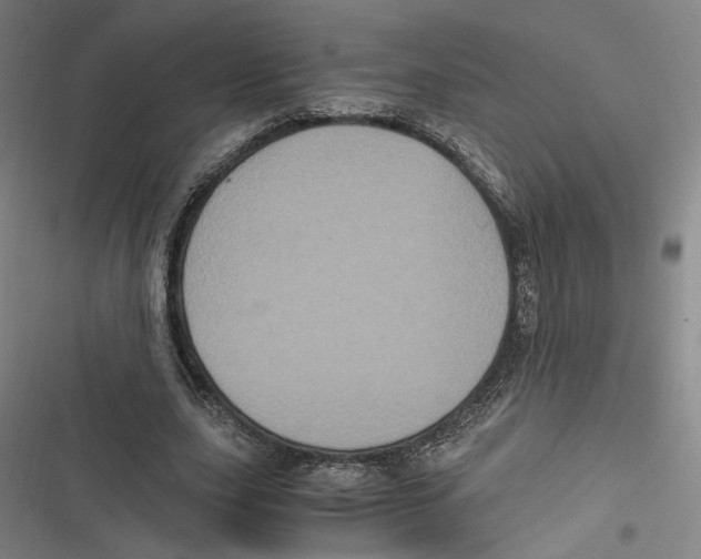 X0000116780631201001141512