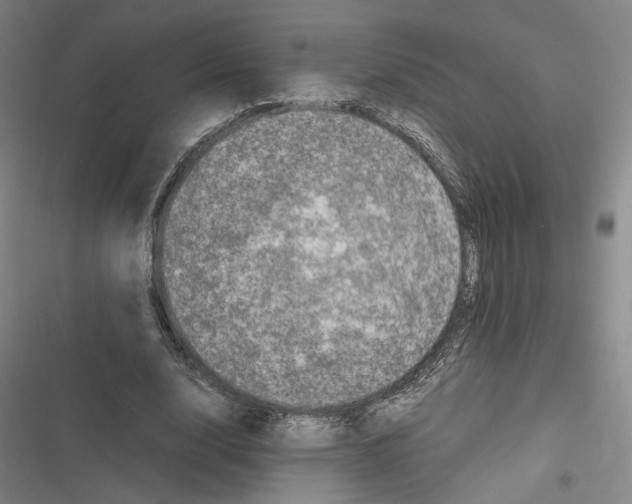 X0000116780632201001141512