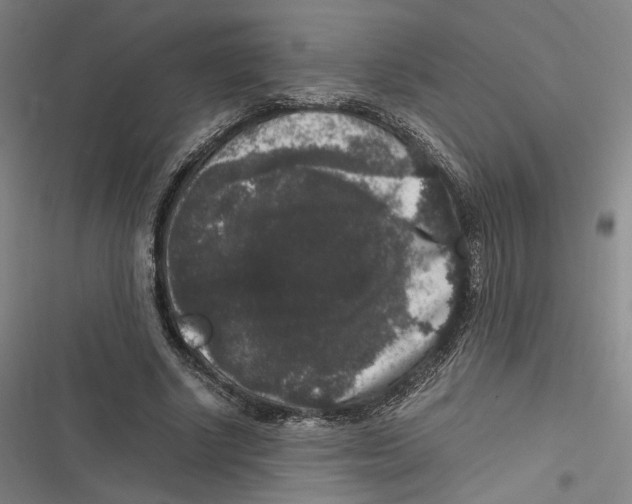 X0000116780634201001141512