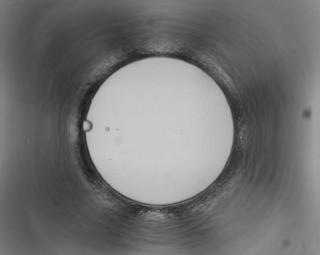 X0000116780635201001141512