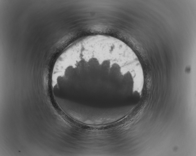 X0000116780637201001141512