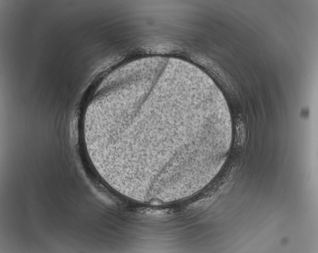 X0000116780638201001141512