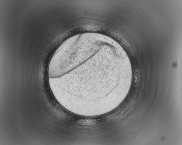 X0000116780639201001141512