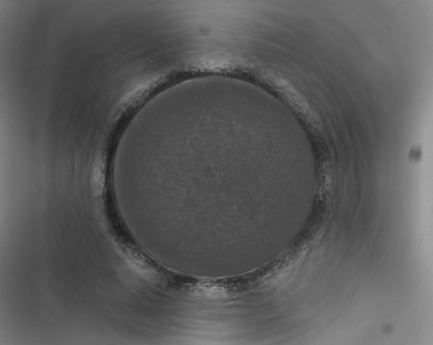 X0000116780640201001141512