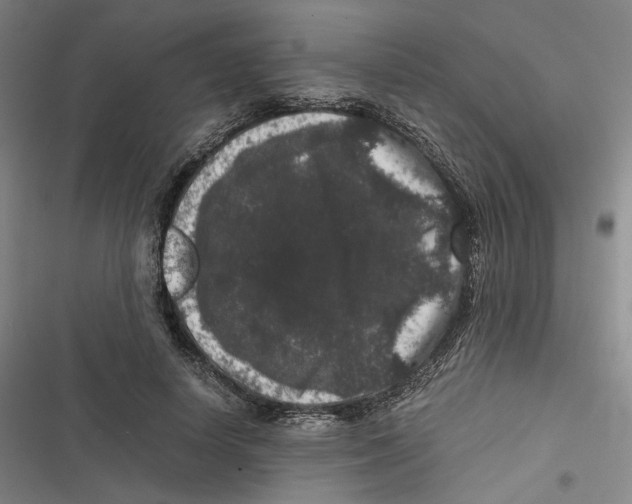 X0000116780642201001141512